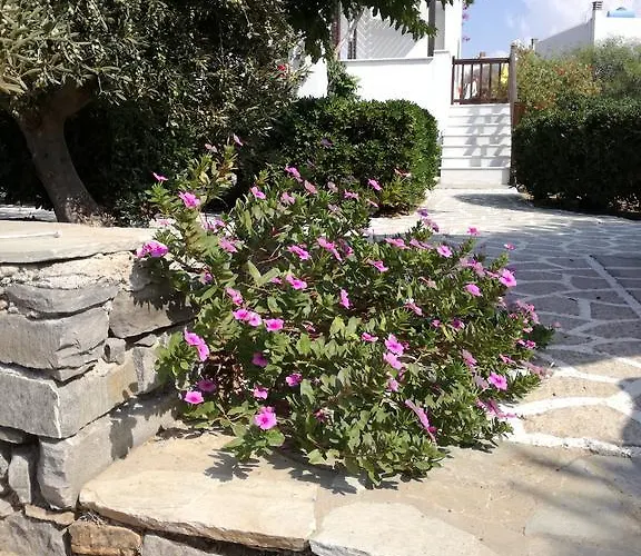 Dina's Diamond דירה